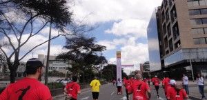 DSC07173